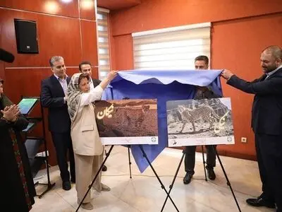 رونمایی از شناسنامه نیکان و نیکی؛ دو یوزپلنگ آسیایی 