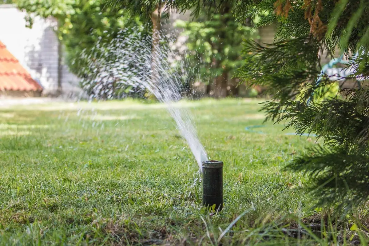استفاده از آب شرب برای فضای سبز در سنندج نگران کننده است/ ممنوعیت آبیاری فضای سبز با آب شرب