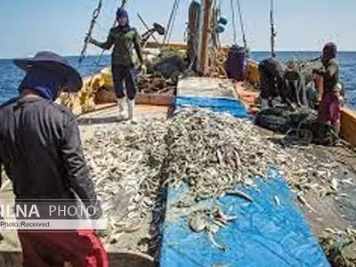 برده‌داری مدرن در میان آب‌های خروشان/ غم نان، کارگران صیاد را به کار اجباری وامی‌دارد