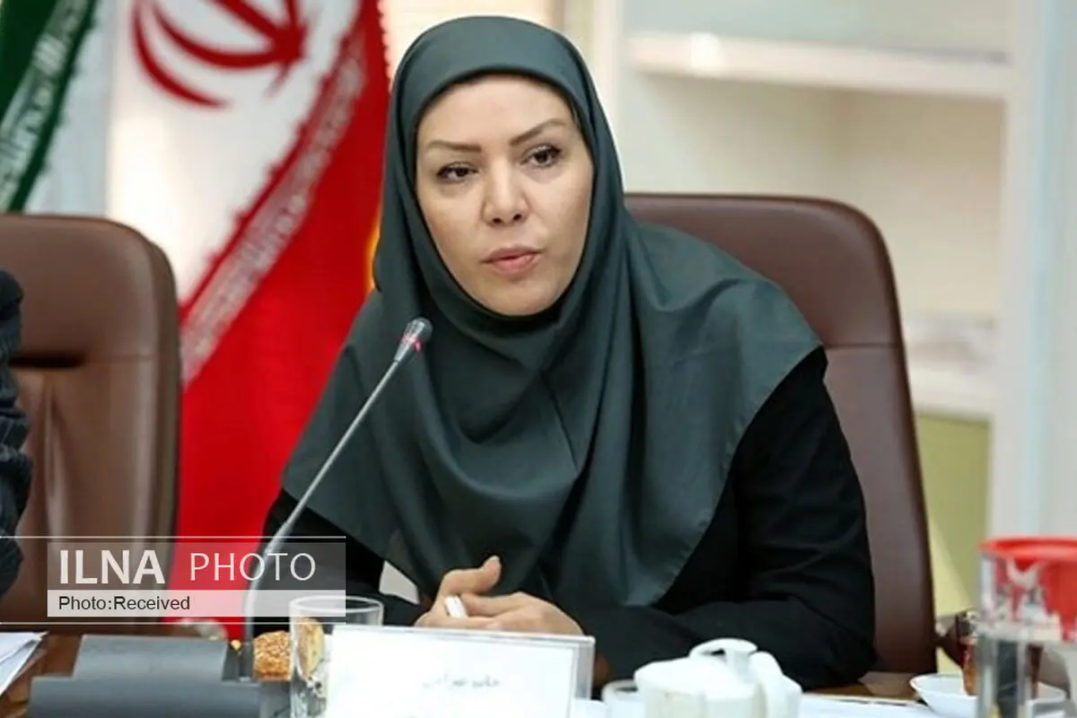 صدور ۲.۵ میلیارد دلار ضمانت‌نامه در یکسال اخیر/ به دنبال دو برابر کردن سرمایه صندوق هستیم/ رقابت سختی با همتایان ترک و عربستانی داریم