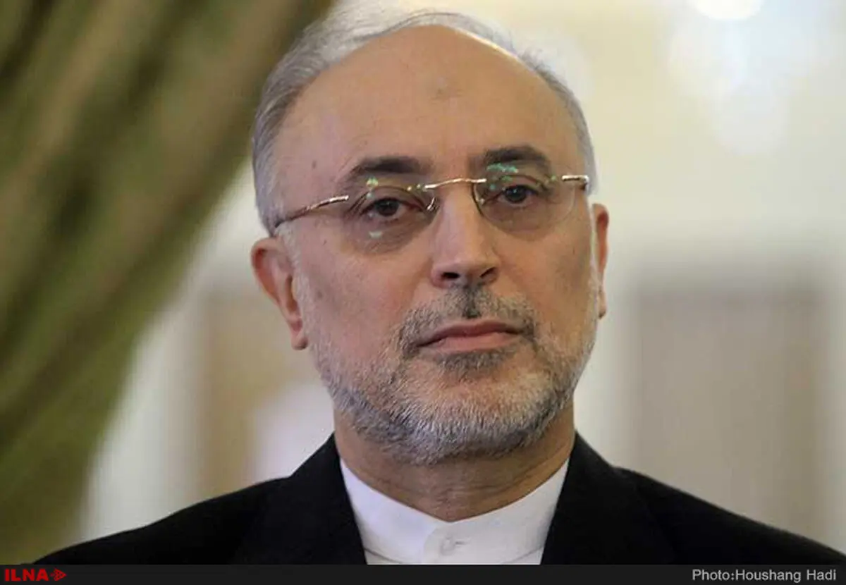 پیام رئیس پیشین سازمان انرژی اتمی بمناسبت شهادت رهبر انقلاب
