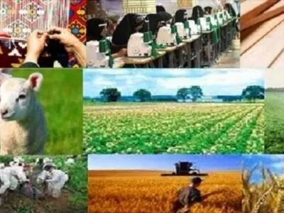 409 تعاونی " روستا تعاون " در لرستان فعالیت می کنند 