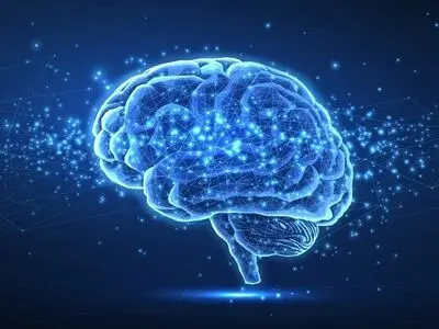 میزان IQ مردم کشورها در سال ۲۰۲۴ + اینفوگرافیک