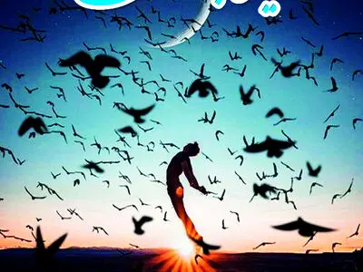 مجموعه شعر "رویای پَر گشودن" منتشر شد