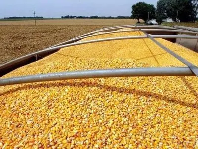 عرضه ۶ میلیون تن نهاده دامی در بازارگاه 