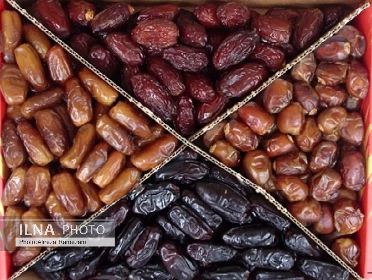 خرما ایران همچنان به کانادا صادر می شود