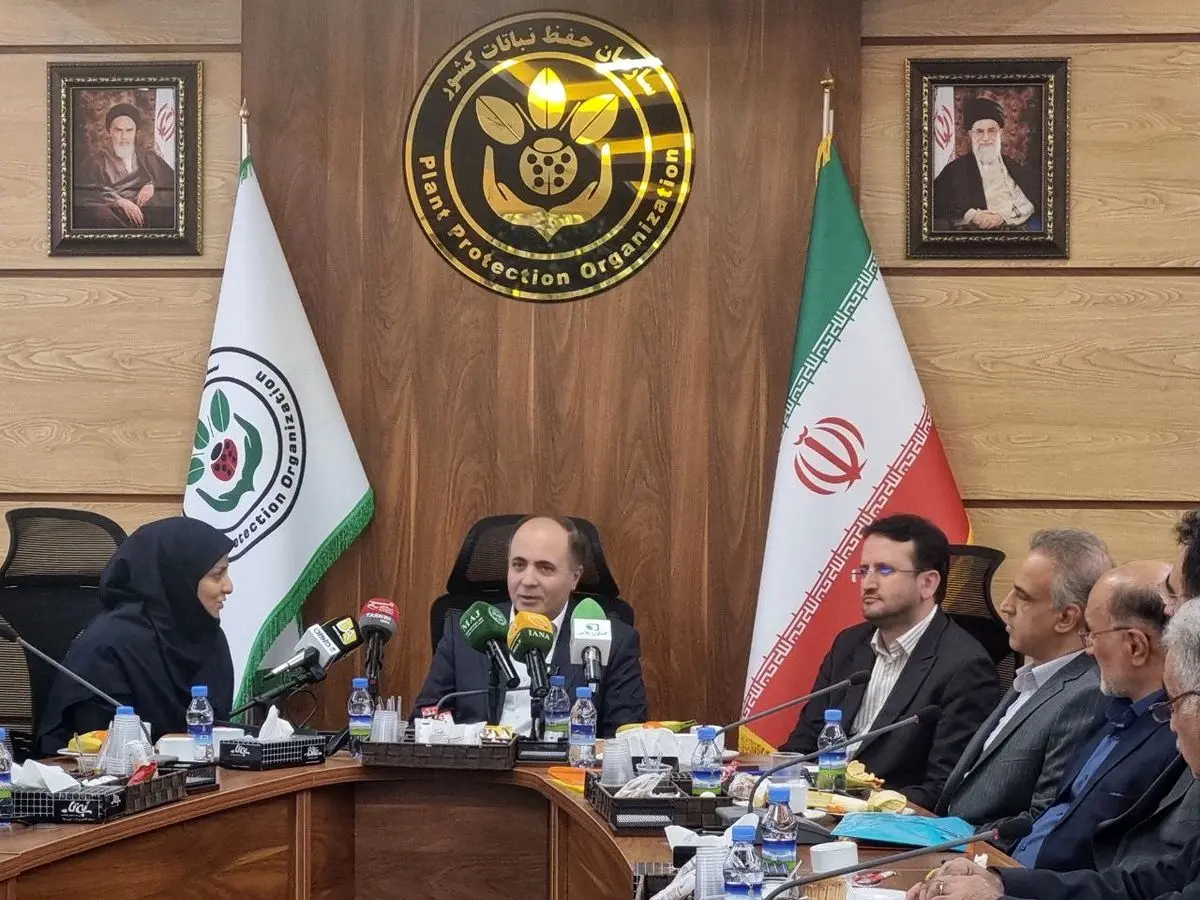 اگر شانس دولت چهاردهم است، ملخ صحرایی هم وارد کشور می‌شود!