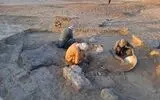 بازی‌های فکری کشف شده در شهرسوخته هیچ شباهتی به یکدیگر ندارند/ ۴۶۰۰ سال پیش ایرانی‌ها چه بازی‌هایی می‌کردند؟