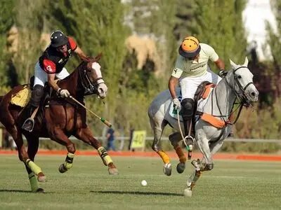 جام قهرمانی در دستان ذوالفقار نزاجا