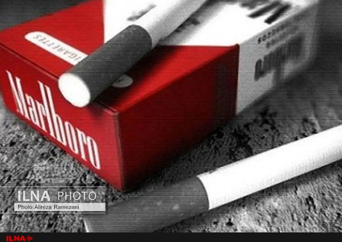قرار مجرمیت برای 7 متهم پرونده سیگار مارلبرو/ میلیاردر نفتی صداقت ندارد