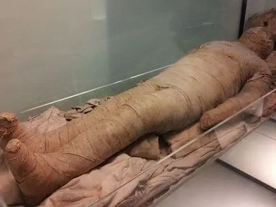 کشف جسد مومیایی شده در سن پترزبورگ(عکس)