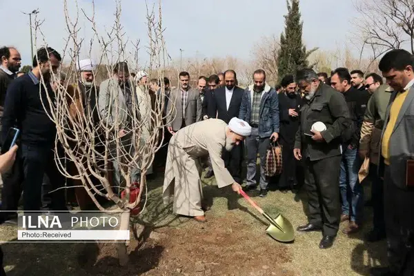 مراسم روز درختکاری در استان قزوین برگزار شد