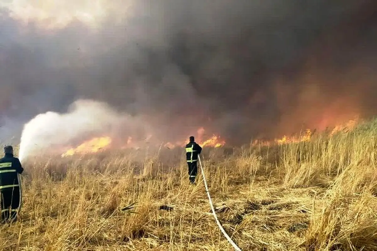 آتش سوزی در ۴۰هکتار از نیزارهای تالاب گروس مهاباد
