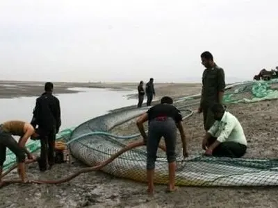 کشف ۲۷۵ هزار لیتر سوخت قاچاق در هرمزگان