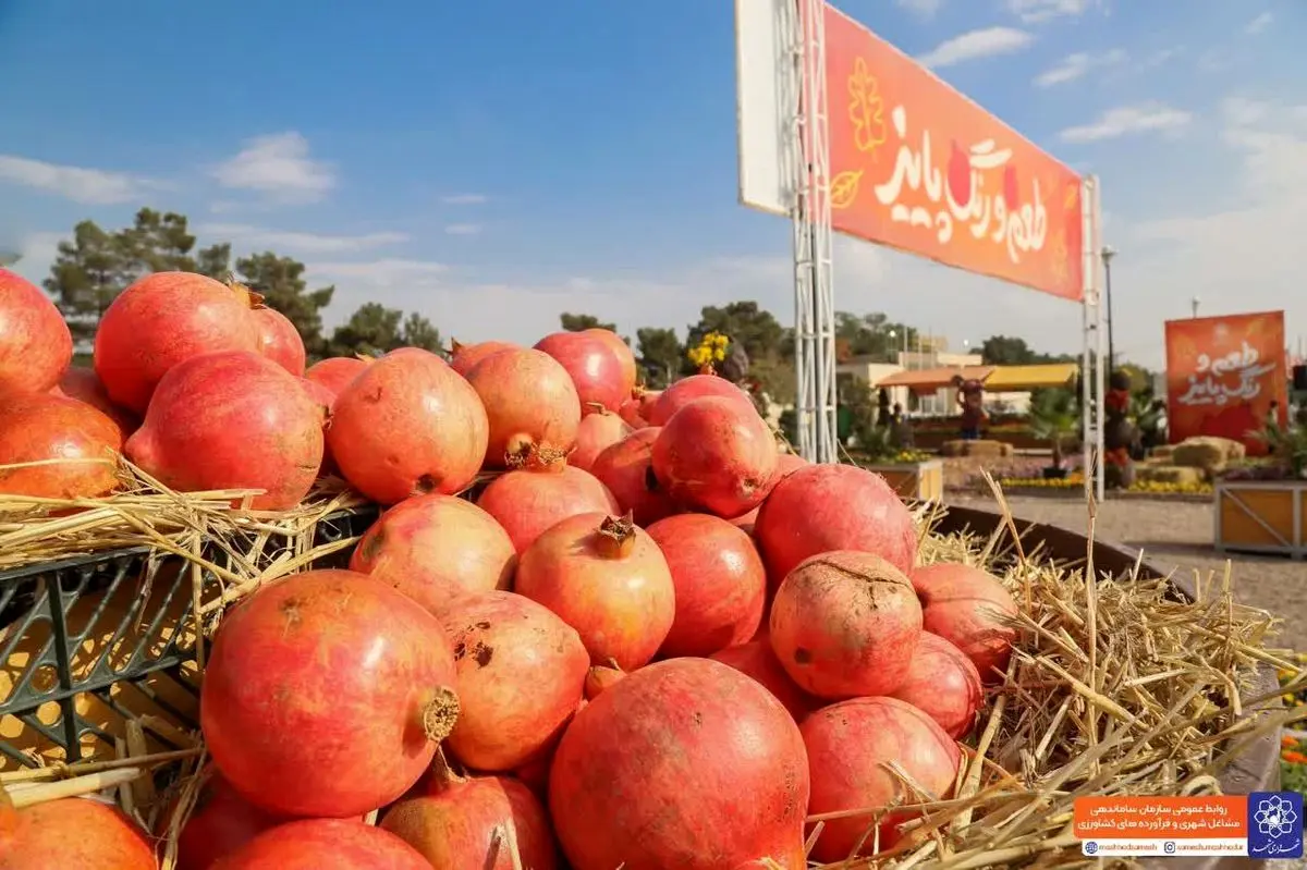 جشنواره طعم و رنگ پاییز در مشهد برگزار می‌شود 