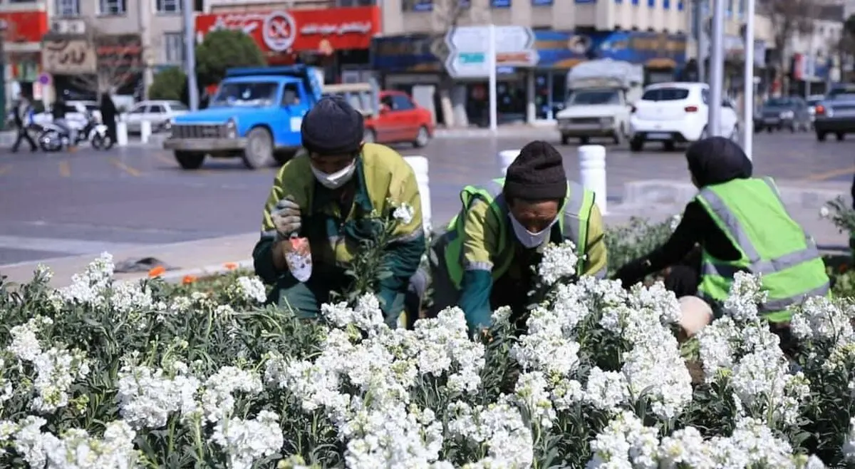 کاشت بیش‌از ١٧ میلیون بوته گل‌ برای استقبال از بهار در سطح شهر مشهد