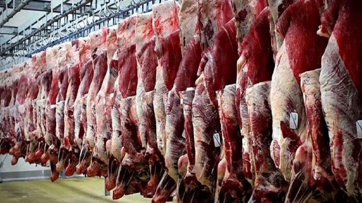 دولت گوشت دام عشایر را تضمینی میخَرد / ساخت ۷۰ هزار سرپناه برای عشایر تا سه سال آینده