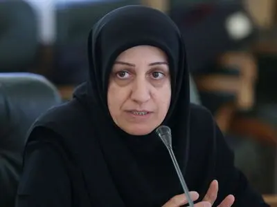 لایحه تابعیت فرزندان دارای مادر ایرانی و پدر خارجی تغییر رویکردی مثبت بود/ مقررات تابعیت با ملاحظات سیاسی آمیخته شده است
