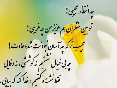 دعای پیامبر (ص) در شب نیمه شعبان + صوت