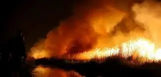 ساعقه سبب آتش‌سوزی در تالاب میقان شده است / آتش‌سوزی در نیزارها یک پدیده عادی محسوب می‌شود