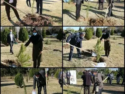 توزیع 700 هزار نهال مثمر در استان سمنان