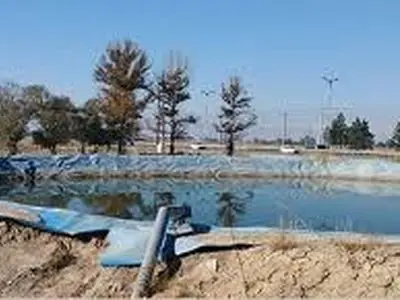 ماجرای آبگیرهای خاکی تخت جمشید چیست؟ / هیچ استخری ساخته نشده است