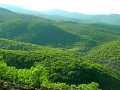 ۱۱.۵۹ درصد از وسعت کشور« مناطق چهارگانه محیط زیستی» هستند