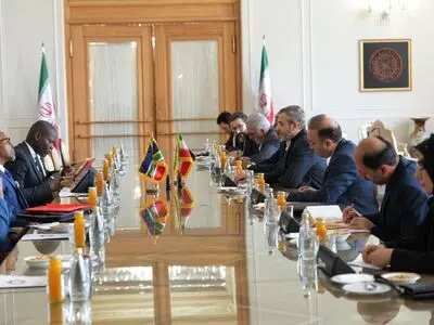 دیدار و گفت‌وگوی وزیر خارجه آفریقای جنوبی با علی باقری
