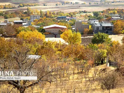 طرح روستای بدون بیکار در فرومد میامی دنبال می‌شود