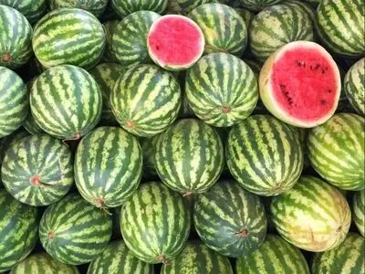 ۴ روش علمی برای تشخیص هندوانه آبدار، شیرین و رسیده