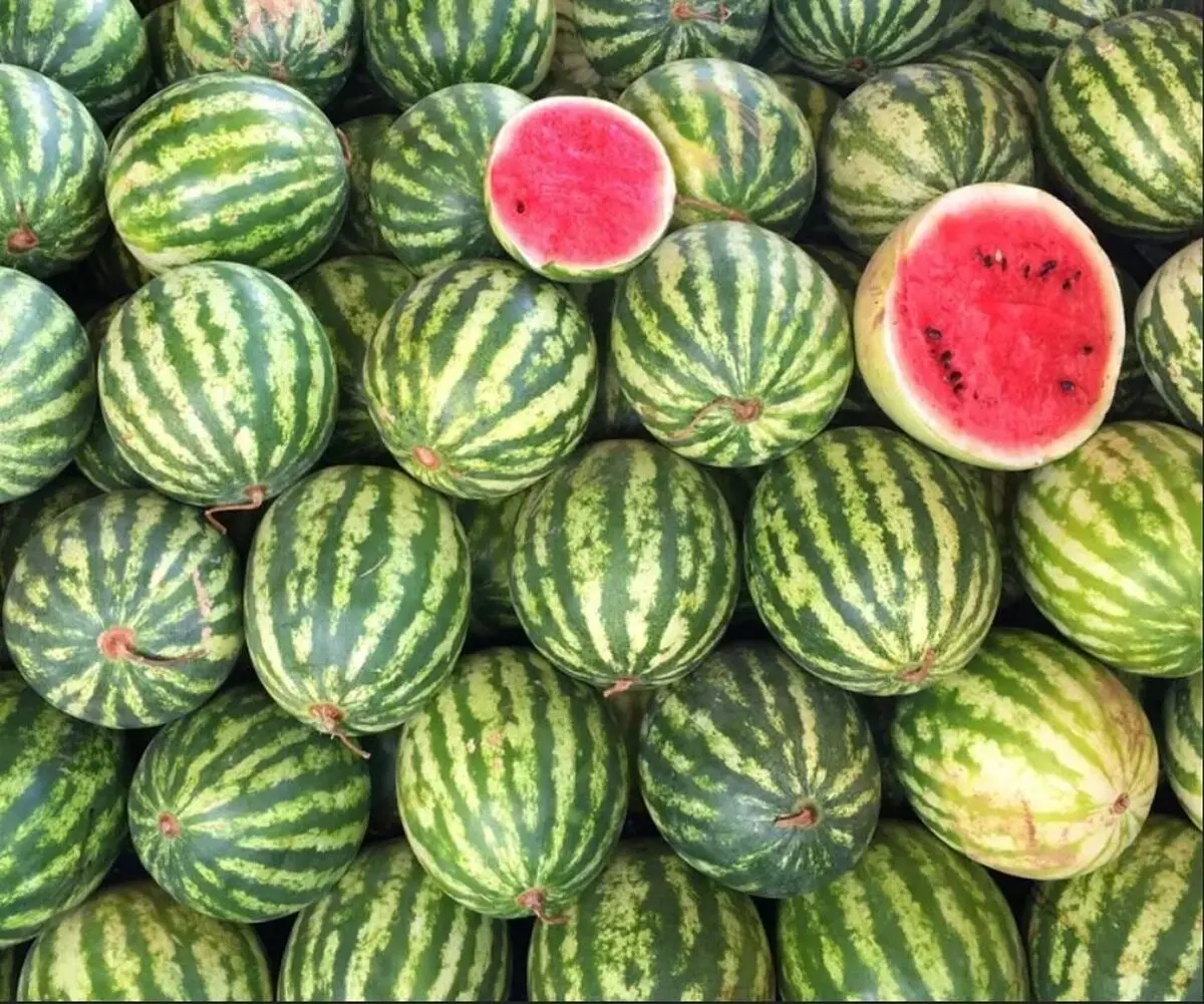 ۴ روش علمی برای تشخیص هندوانه آبدار، شیرین و رسیده