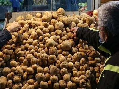 دلایل اوج‌گیری دوباره قیمت سیب‌زمینی/ ارزانی نوبرانه‌ها از ابتدای اردیبهشت 