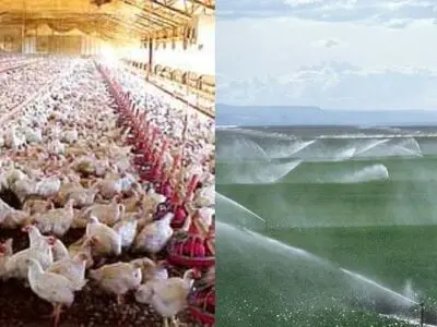 افتتاح دو طرح جهاد کشاورزی در اندیمشک