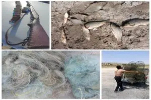 کشف سلاح و لاشه شکار غیر مجاز در شهرستان شیراز  
