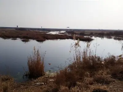 حقابه تالاب بندعلیخان نادیده گرفته شده است