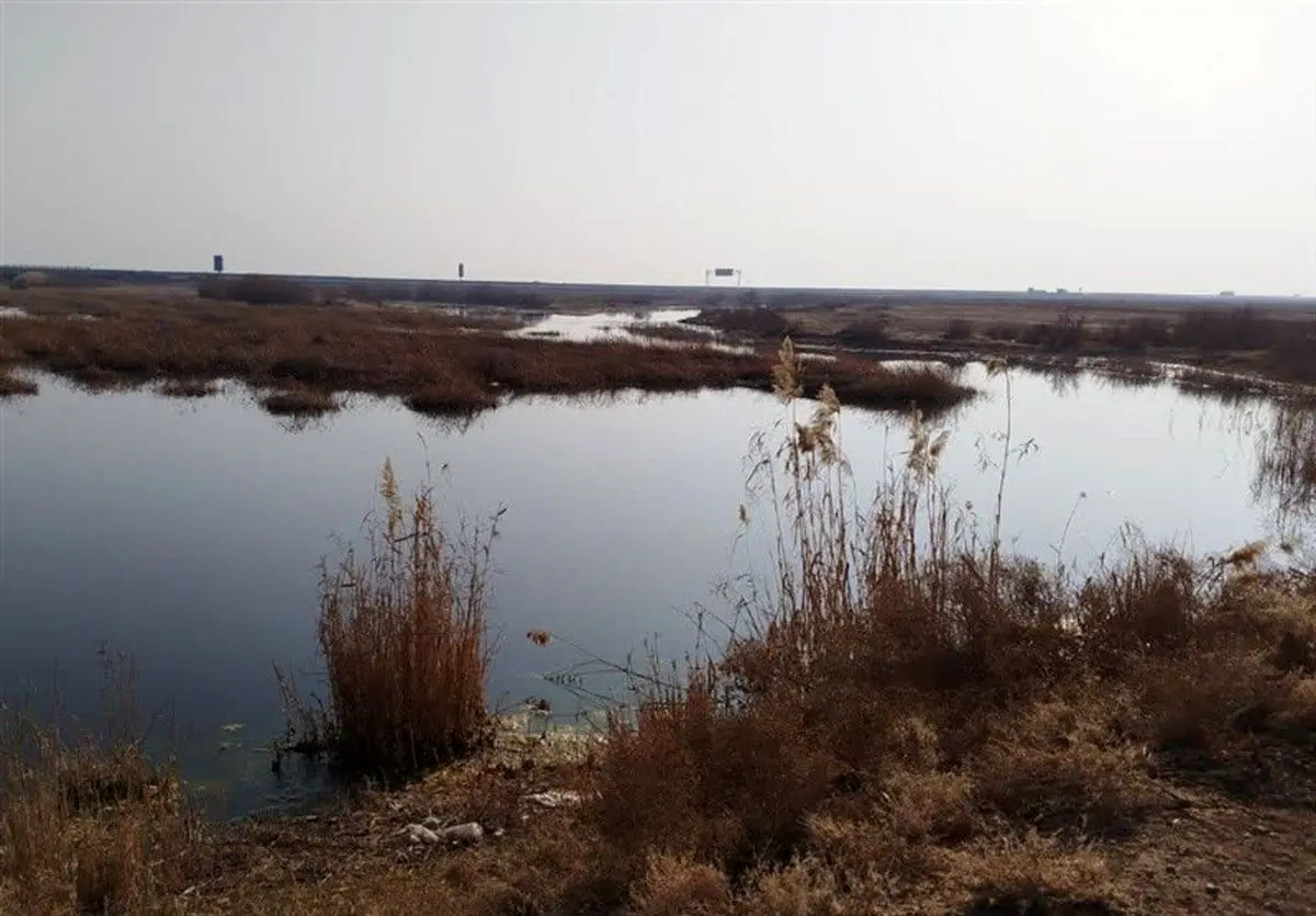 حقابه تالاب بندعلیخان نادیده گرفته شده است