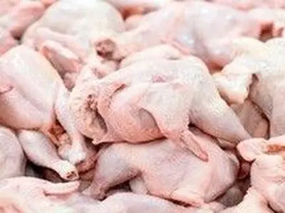 التهاب بازار مرغ در آذربایجان غربی فروکش کرده است/ مرغ‌های کشتاری مشکلی از بابت کیفیت ندارند
