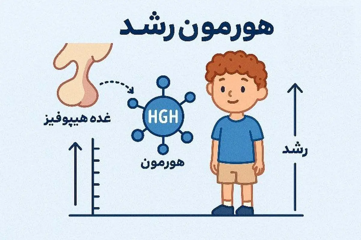 کودک چه زمانی به هورمون رشد نیاز دارد؟ + اینفوگرافیک