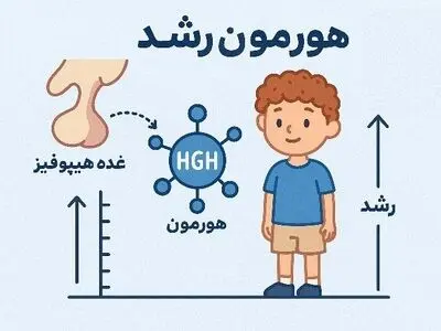 کودک چه زمانی به هورمون رشد نیاز دارد؟ + اینفوگرافیک