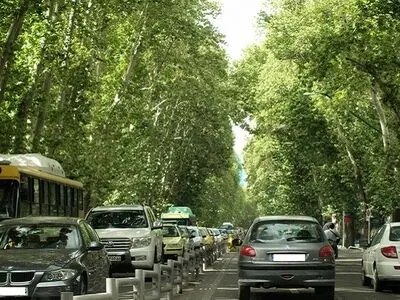 جایگزینی تدریجی درختان جدید در معابر تهران/ ۵۰۰ اصله درخت در خیابان ولیعصر غرس شد