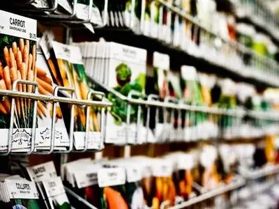 راهنمای خرید بذر