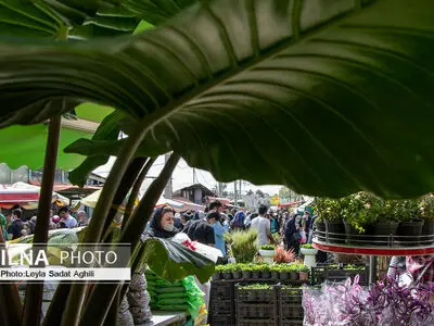 بازار گل شهید محلاتی در آستانه سال ۱۴۰۱