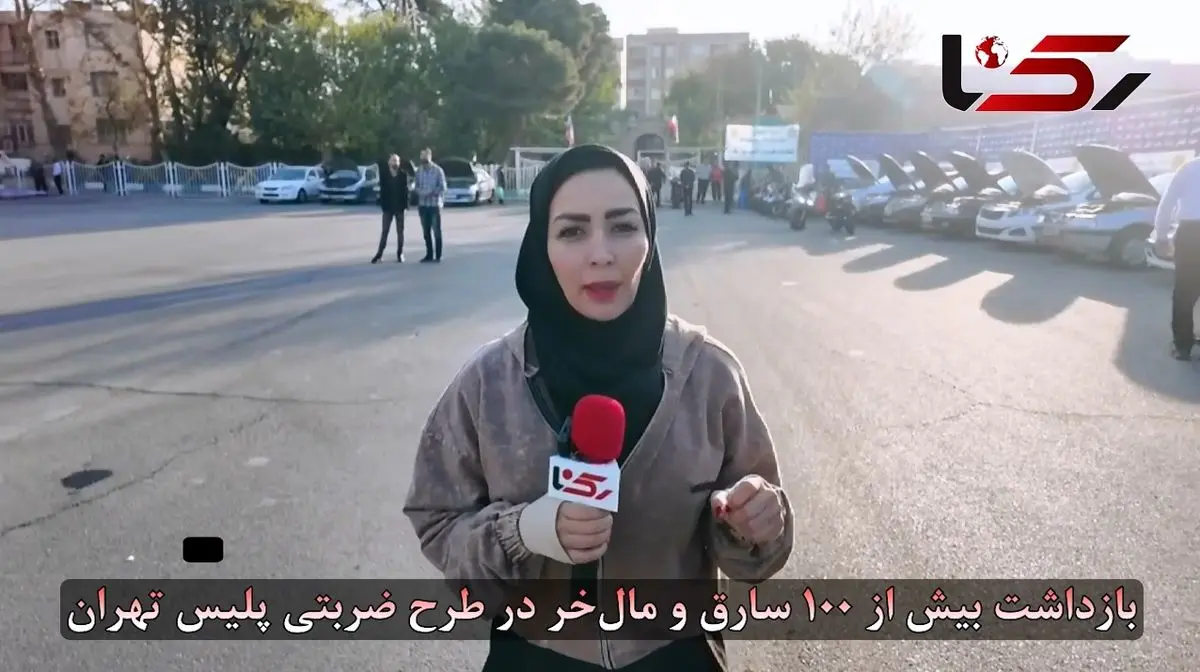 پایان کار باندهای سرقت خودرو و گوشی‌ قاپی در پایتخت / بیش از ۱۰۰ سارق و مالخر بازداشت شدند + فیلم