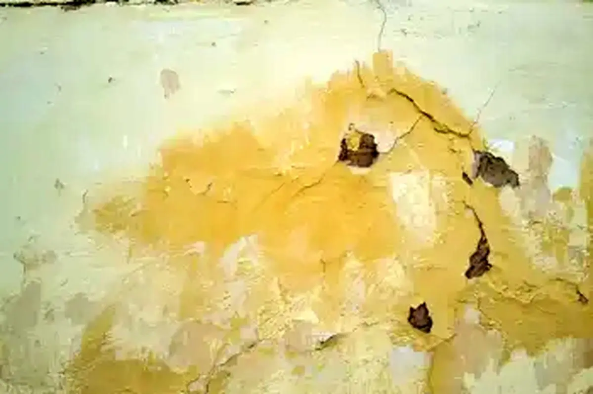 علت زرد شدن گچ دیوار پس از رنگ روغن