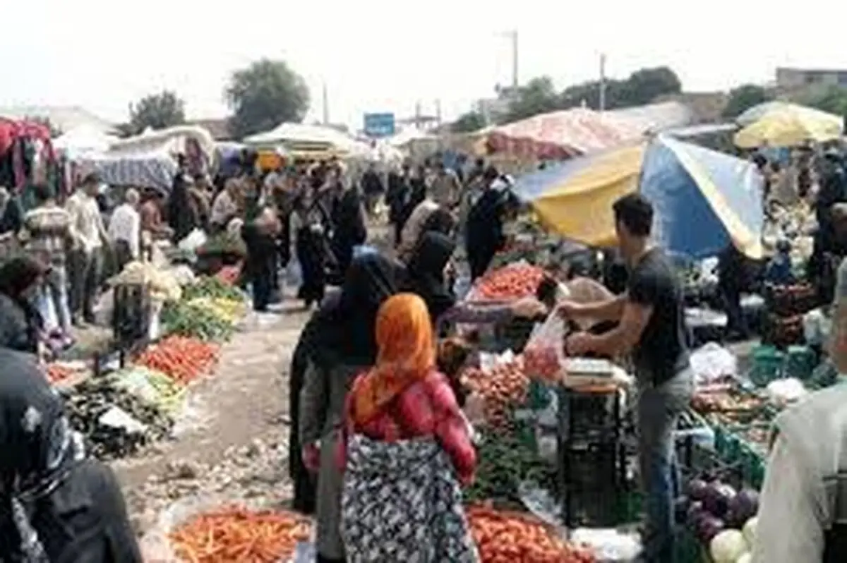حمایت از ایجاد طرح‌های "روستا بازار" در استان کردستان