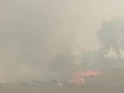 دود منتشر شده در آبادان ناشی از آتش‌سوزی نیزارها است