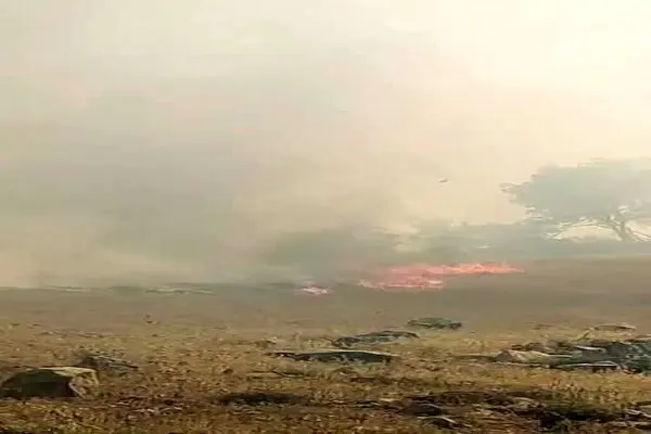 دود منتشر شده در آبادان ناشی از آتش‌سوزی نیزارها است