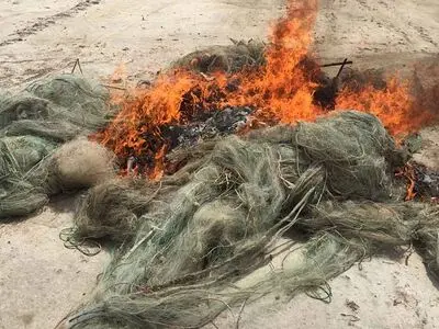 امحاء 150 رشته تور دام زنده گیری کبک در شاهین‌دژ