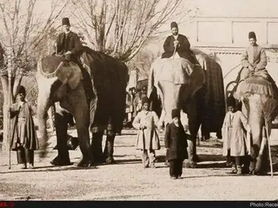 آخرین فیل‌خانه تهران در آستانه نابودی؛ وعده مرمت عمارت قاجاری پس از هشت سال همچنان روی کاغذ