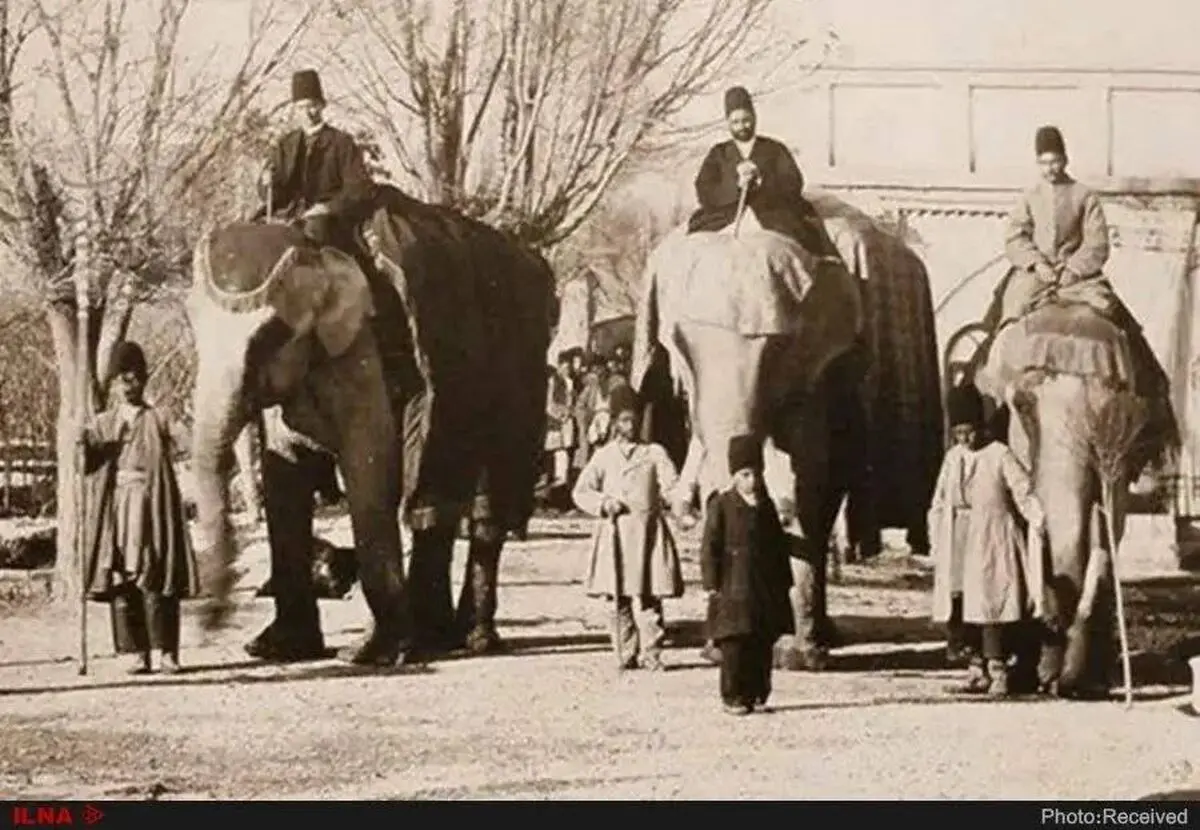 آخرین فیل‌خانه تهران در آستانه نابودی؛ وعده مرمت عمارت قاجاری پس از هشت سال همچنان روی کاغذ
